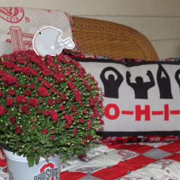 O-H-I-O Pillow